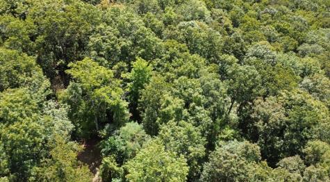 00 Double Knob Road Ellijay GA 30540