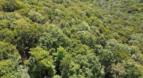 00 Double Knob Road Ellijay GA 30540