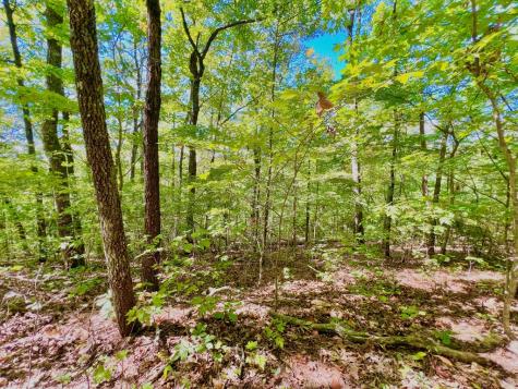 00 Double Knob Road Ellijay GA 30540