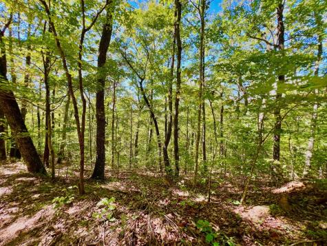 00 Double Knob Road Ellijay GA 30540