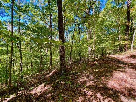 00 Double Knob Road Ellijay GA 30540