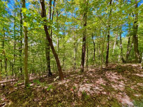 00 Double Knob Road Ellijay GA 30540