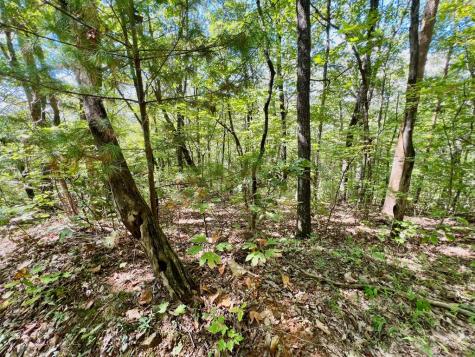 00 Double Knob Road Ellijay GA 30540