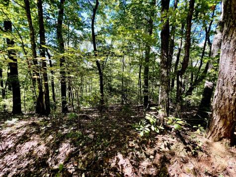 00 Double Knob Road Ellijay GA 30540