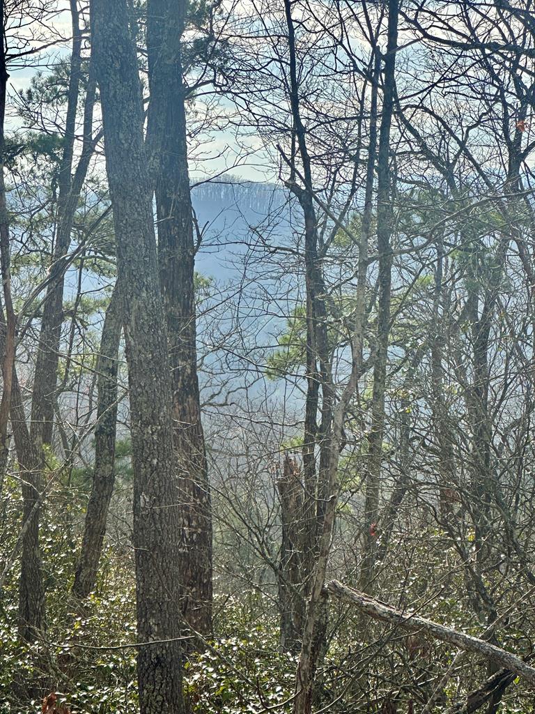 Lot 8 Sapphire Ridge Blue Ridge GA 30513