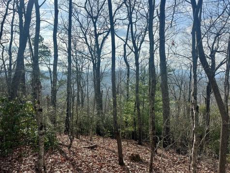 Lot 8 Sapphire Ridge Blue Ridge GA 30513