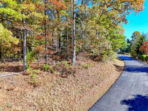 #20 Victoria Woods Circle Hiawassee GA 30546
