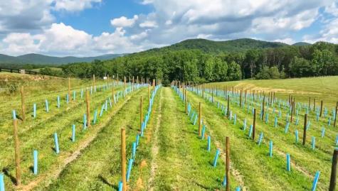 Lot 14 High Summit Drive Ellijay GA 30540