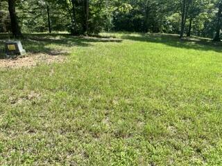 Lot 2 Pondview Lane Hayesville NC 28904