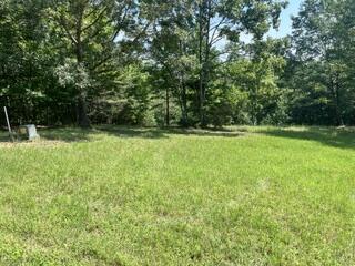 Lot 2 Pondview Lane Hayesville NC 28904
