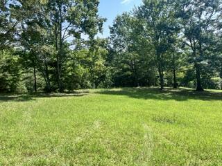 Lot 2 Pondview Lane Hayesville NC 28904