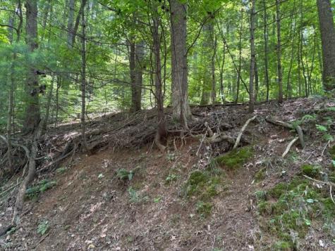 0 Mountain View Court Ellijay GA 30536