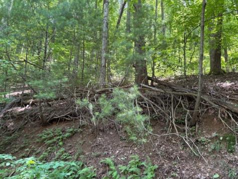 0 Mountain View Court Ellijay GA 30536