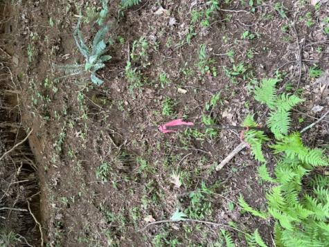 0 Mountain View Court Ellijay GA 30536