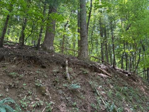 0 Mountain View Court Ellijay GA 30536