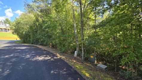 Lot 23 Dan Knob Hayesville NC 28904
