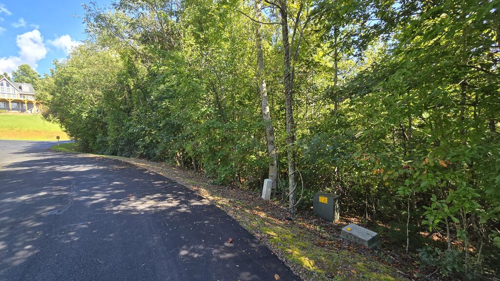 Lot 23 Dan Knob Hayesville NC 28904