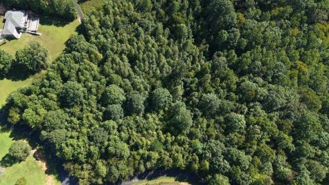 Lot 23 Dan Knob Hayesville NC 28904