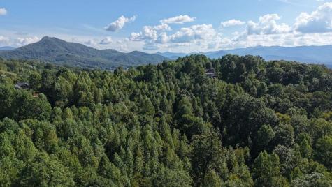 Lot 23 Dan Knob Hayesville NC 28904