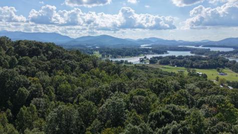 Lot 23 Dan Knob Hayesville NC 28904