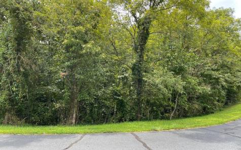 Lot 23 Dan Knob Hayesville NC 28904