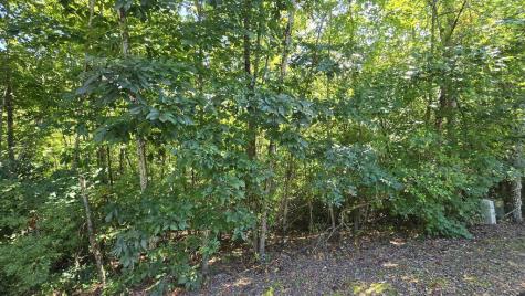 Lot 23 Dan Knob Hayesville NC 28904