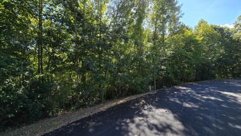 Lot 23 Dan Knob Hayesville NC 28904