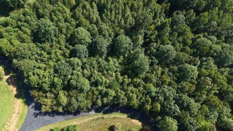 Lot 23 Dan Knob Hayesville NC 28904