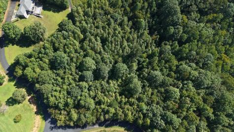 Lot 23 Dan Knob Hayesville NC 28904