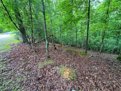 Lt #222 Mohawk Trail Ellijay GA 30540