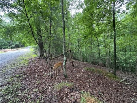 Lt #222 Mohawk Trail Ellijay GA 30540