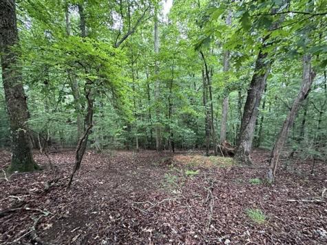 Lt #222 Mohawk Trail Ellijay GA 30540