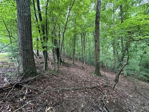 Lt #222 Mohawk Trail Ellijay GA 30540