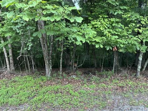 Lt #222 Mohawk Trail Ellijay GA 30540