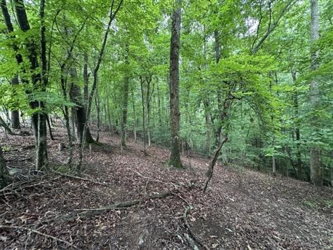 Lt #222 Mohawk Trail Ellijay GA 30540