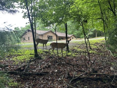 Lt #222 Mohawk Trail Ellijay GA 30540