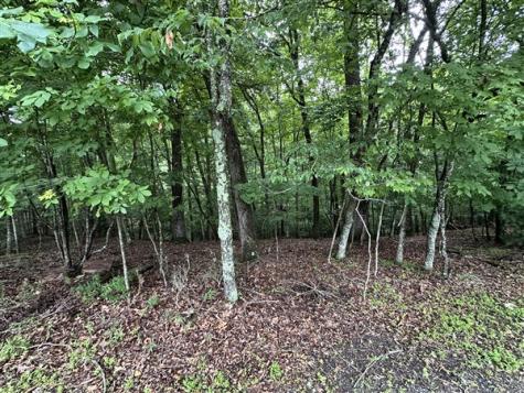 Lt #222 Mohawk Trail Ellijay GA 30540