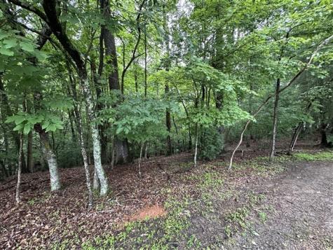 Lt #222 Mohawk Trail Ellijay GA 30540