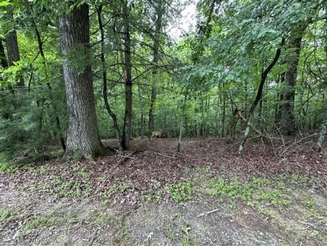 Lt #222 Mohawk Trail Ellijay GA 30540