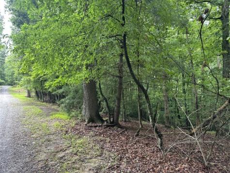 Lt #222 Mohawk Trail Ellijay GA 30540