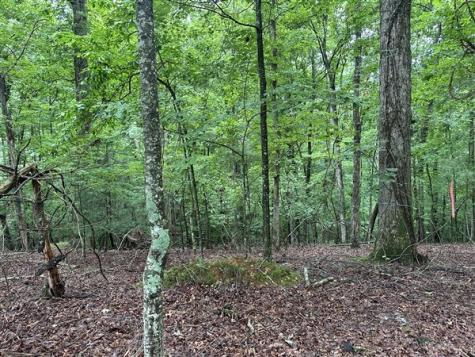 Lt #222 Mohawk Trail Ellijay GA 30540