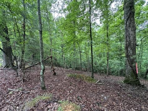 Lt #222 Mohawk Trail Ellijay GA 30540