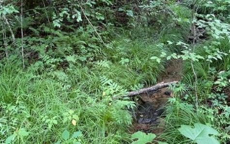 0 Trackrock Gap Road Blairsville GA 30512