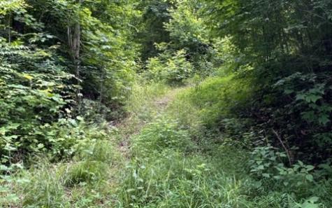 0 Trackrock Gap Road Blairsville GA 30512