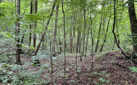 0 Trackrock Gap Road Blairsville GA 30512