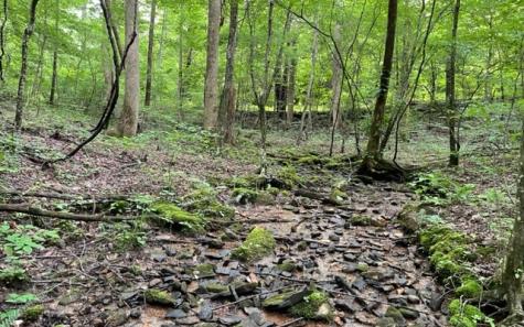 0 Trackrock Gap Road Blairsville GA 30512