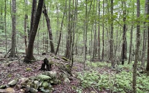 0 Trackrock Gap Road Blairsville GA 30512