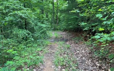 0 Trackrock Gap Road Blairsville GA 30512