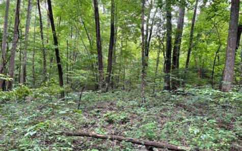 0 Trackrock Gap Road Blairsville GA 30512