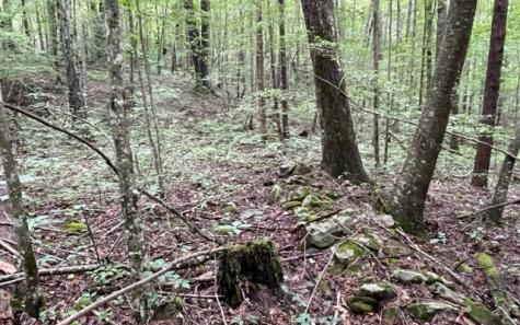 0 Trackrock Gap Road Blairsville GA 30512